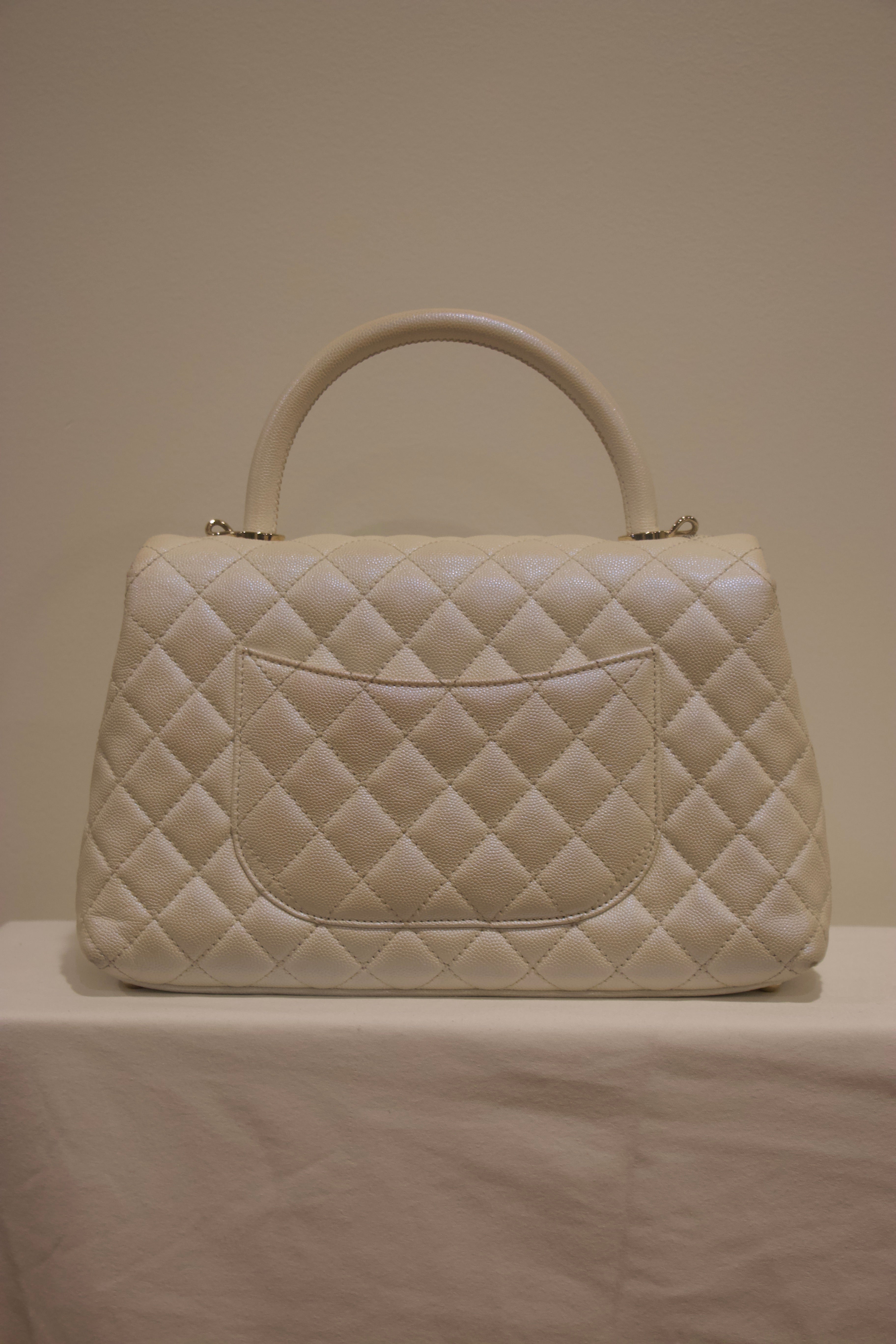 Chanel Iridescent Coco Handle Flap Bag