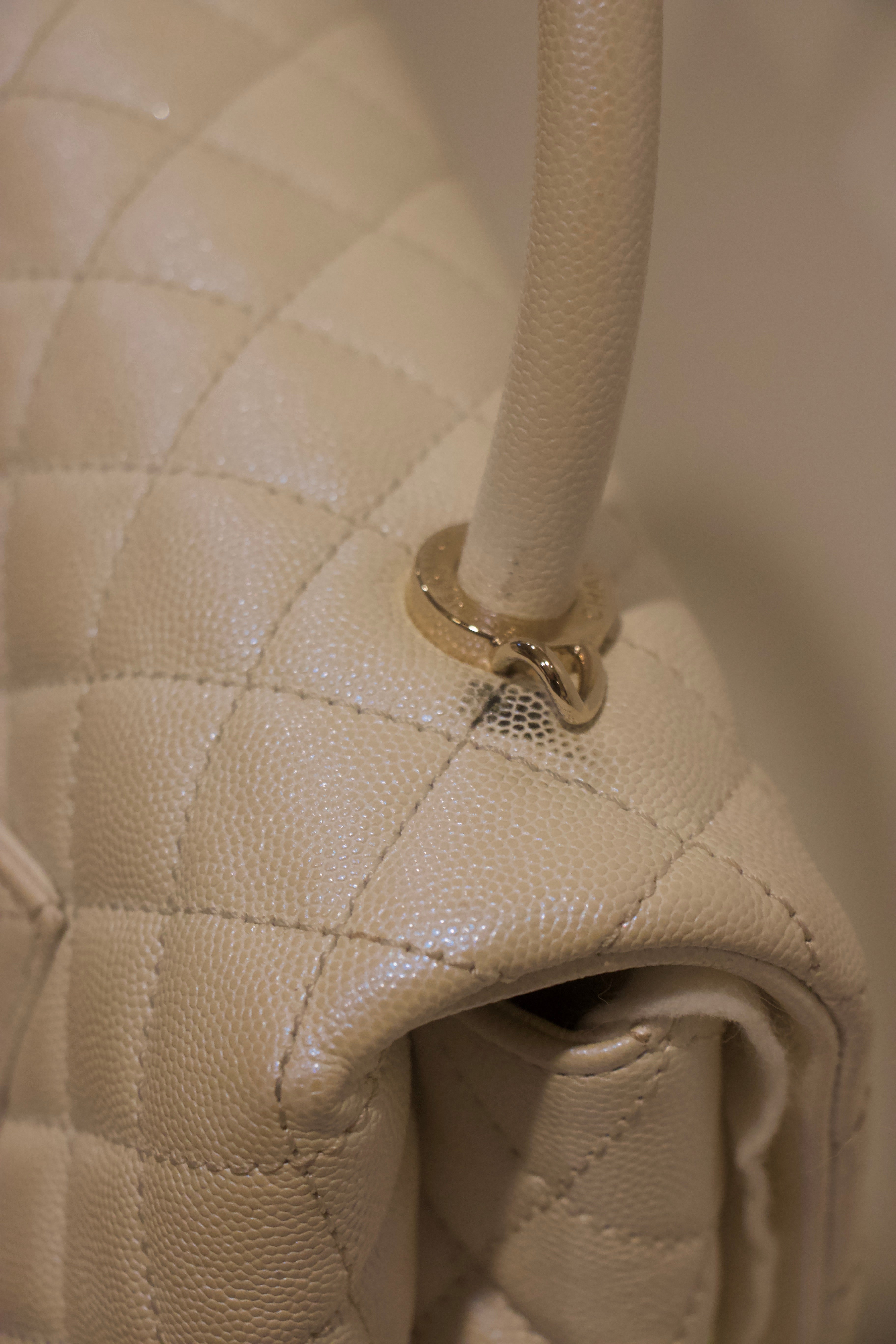 Chanel Iridescent Coco Handle Flap Bag