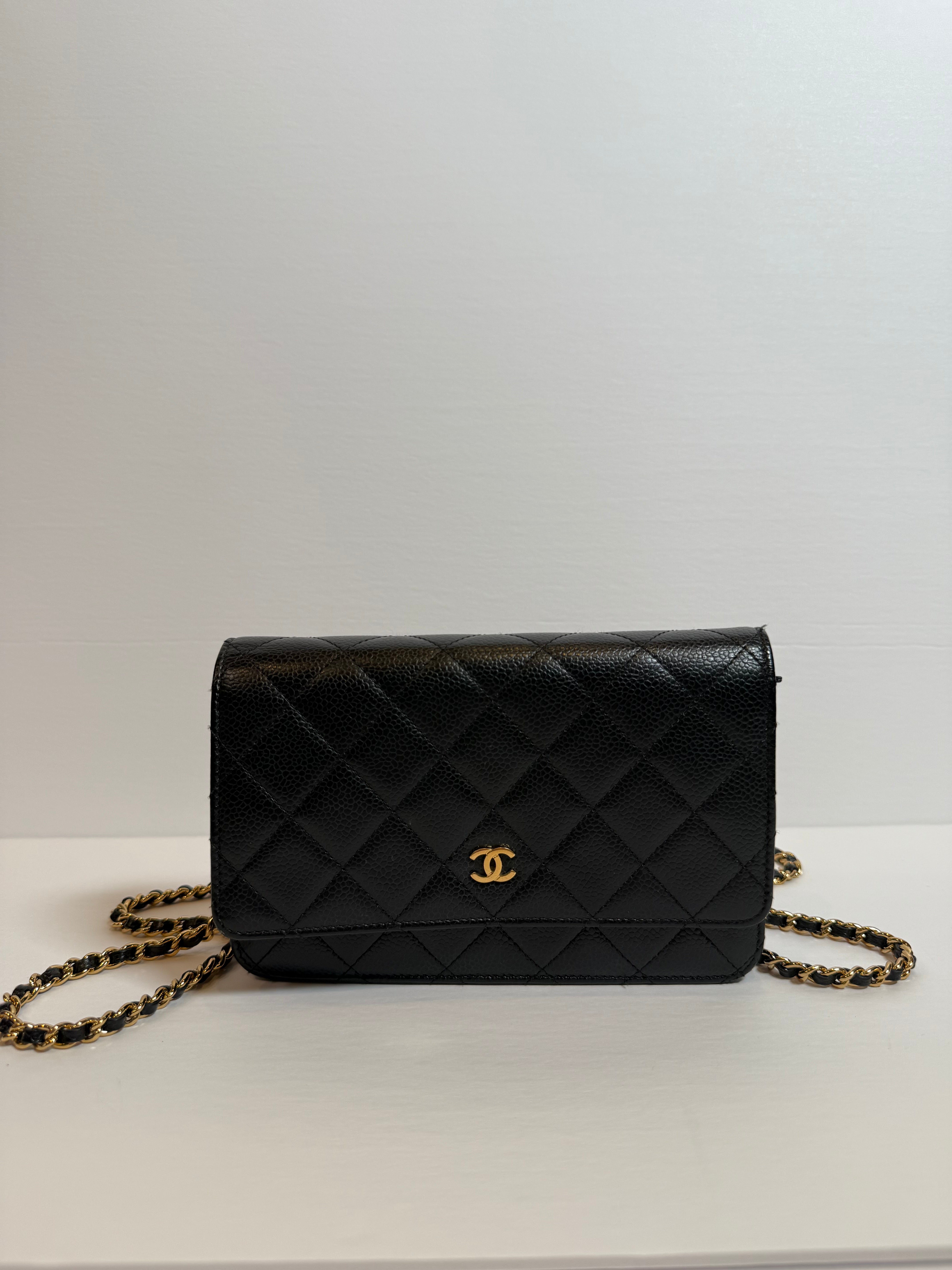 Chanel Quilted Flap Bag