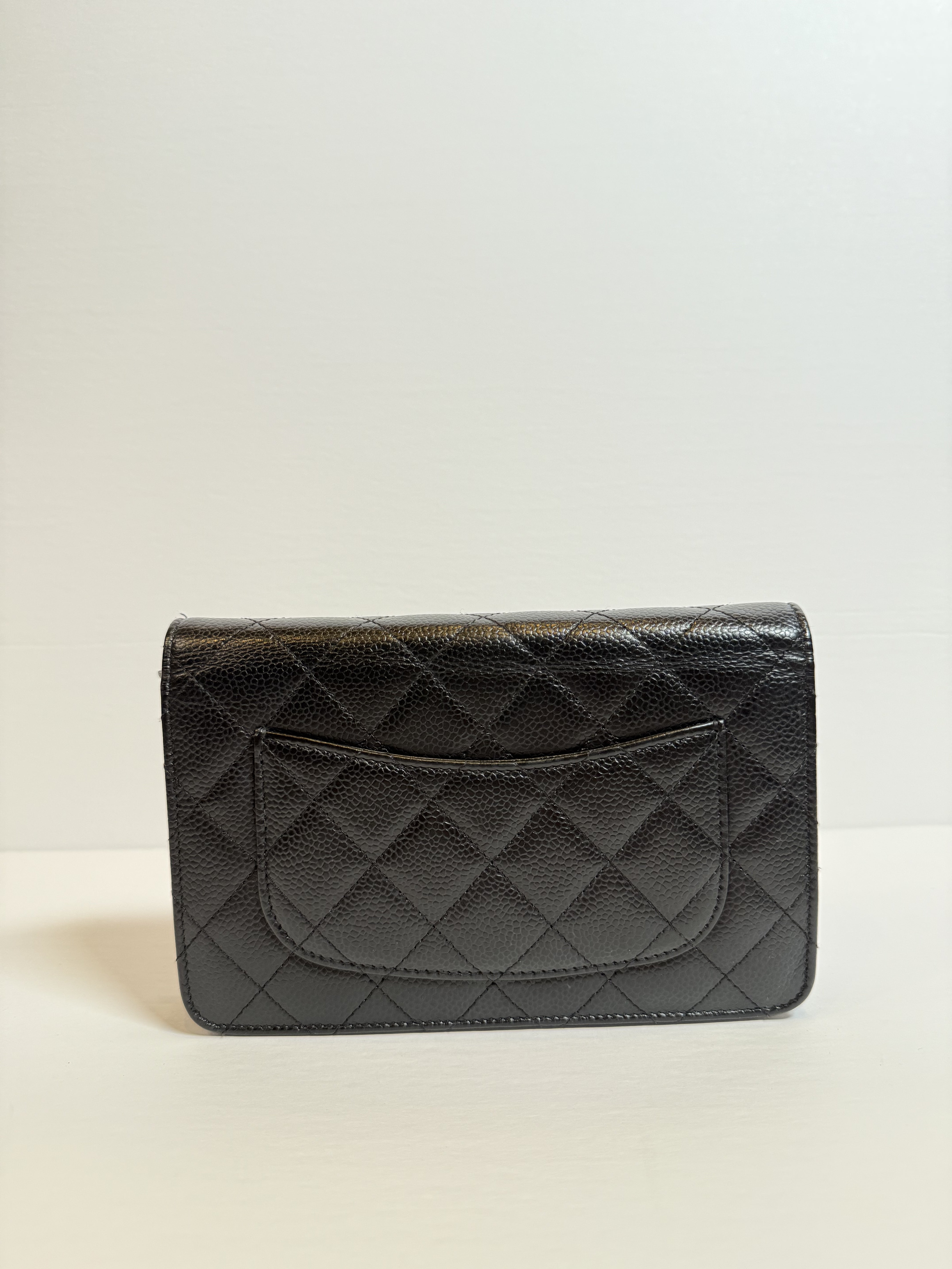 Chanel Quilted Flap Bag