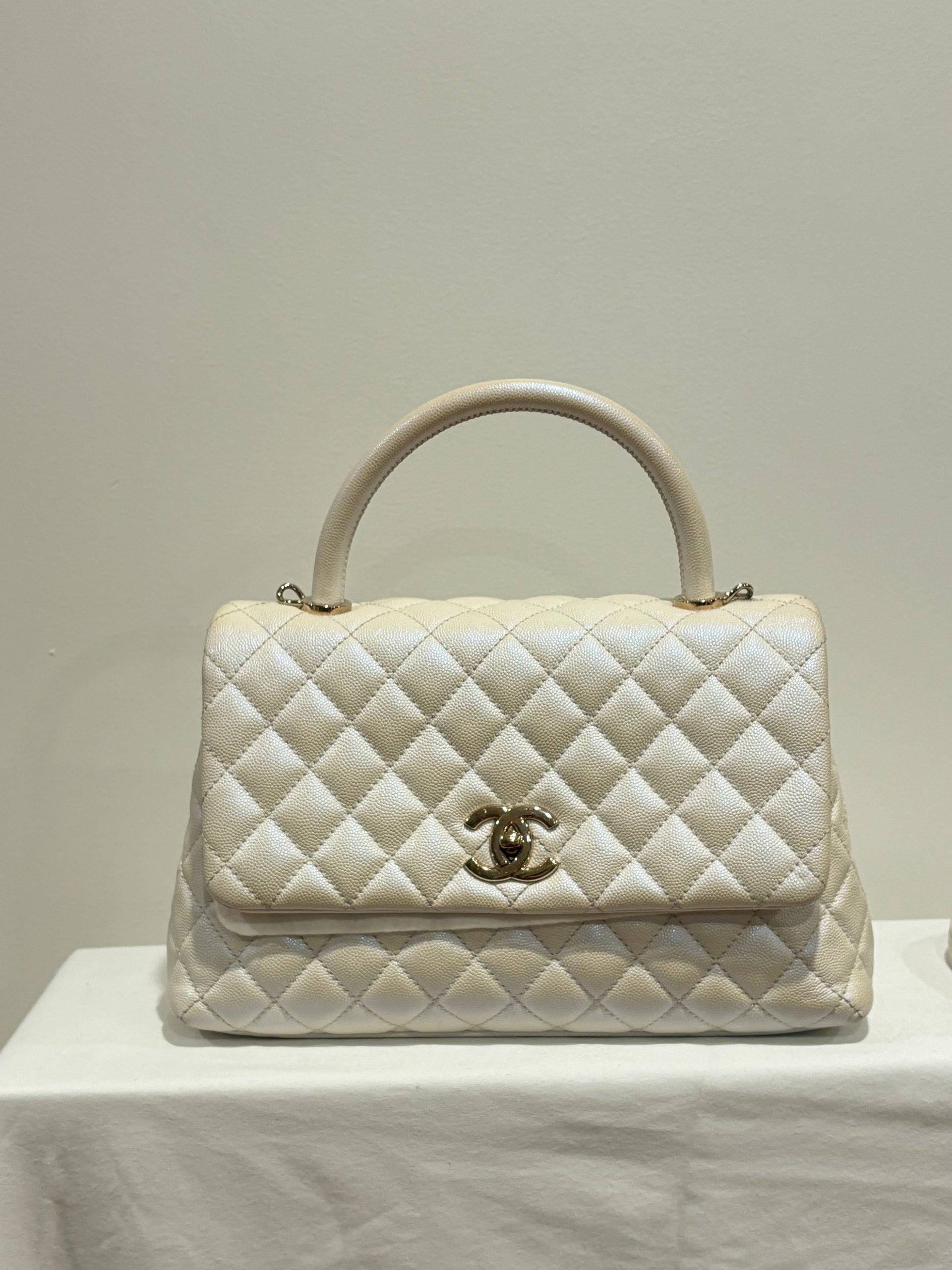 Chanel Iridescent Coco Handle Flap Bag