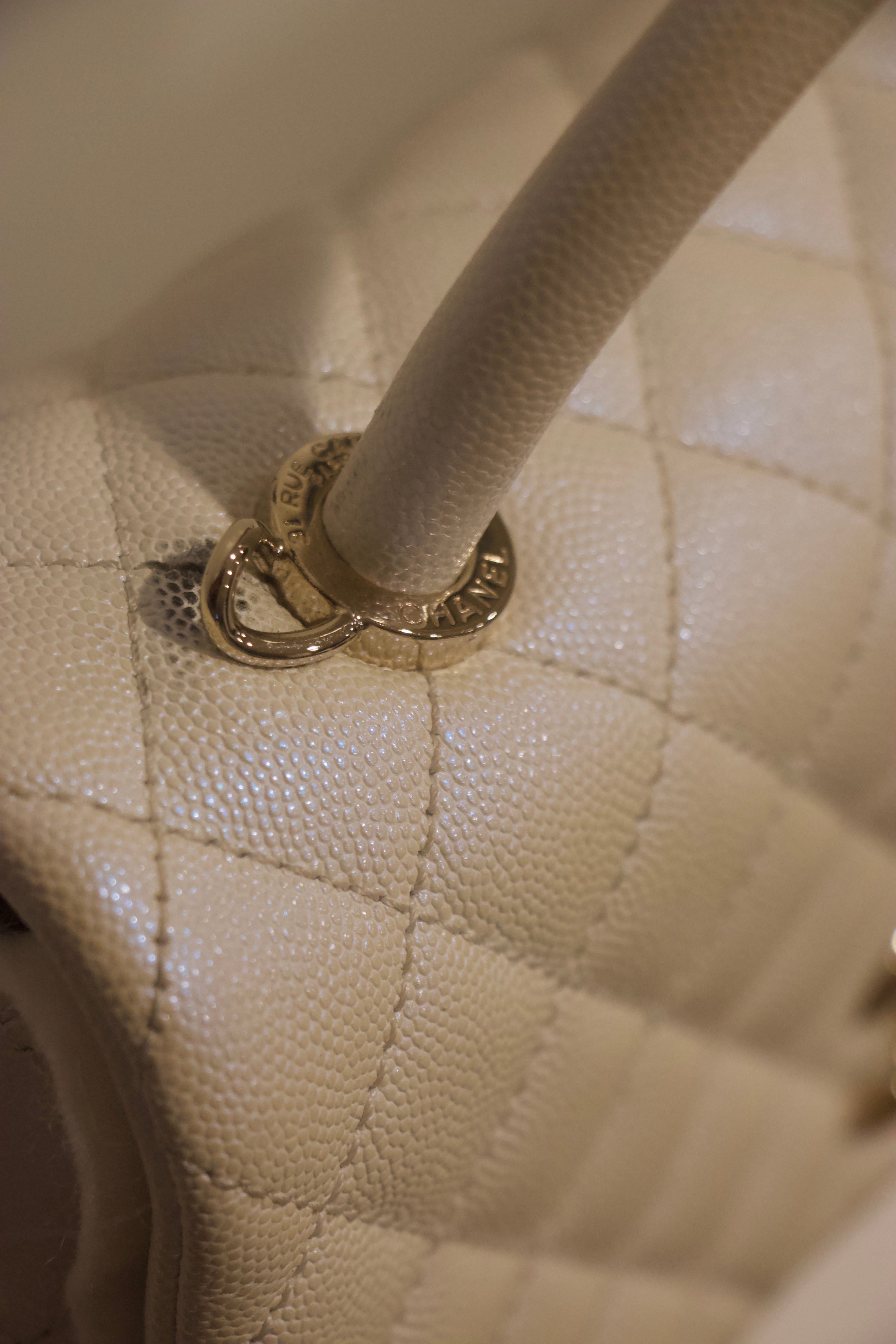 Chanel Iridescent Coco Handle Flap Bag