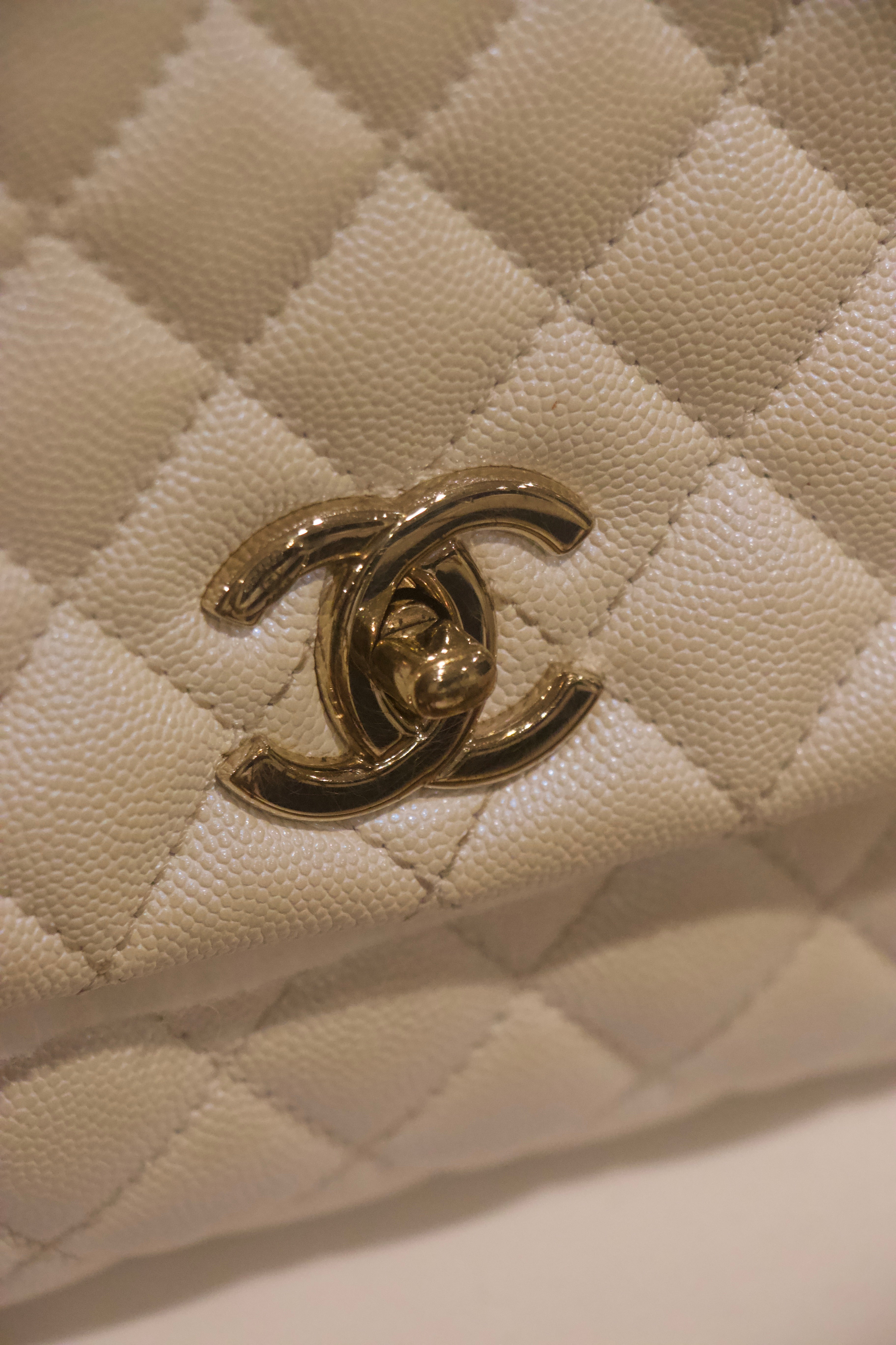 Chanel Iridescent Coco Handle Flap Bag